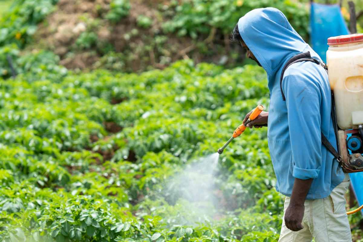 Uso di pesticidi in agricoltura