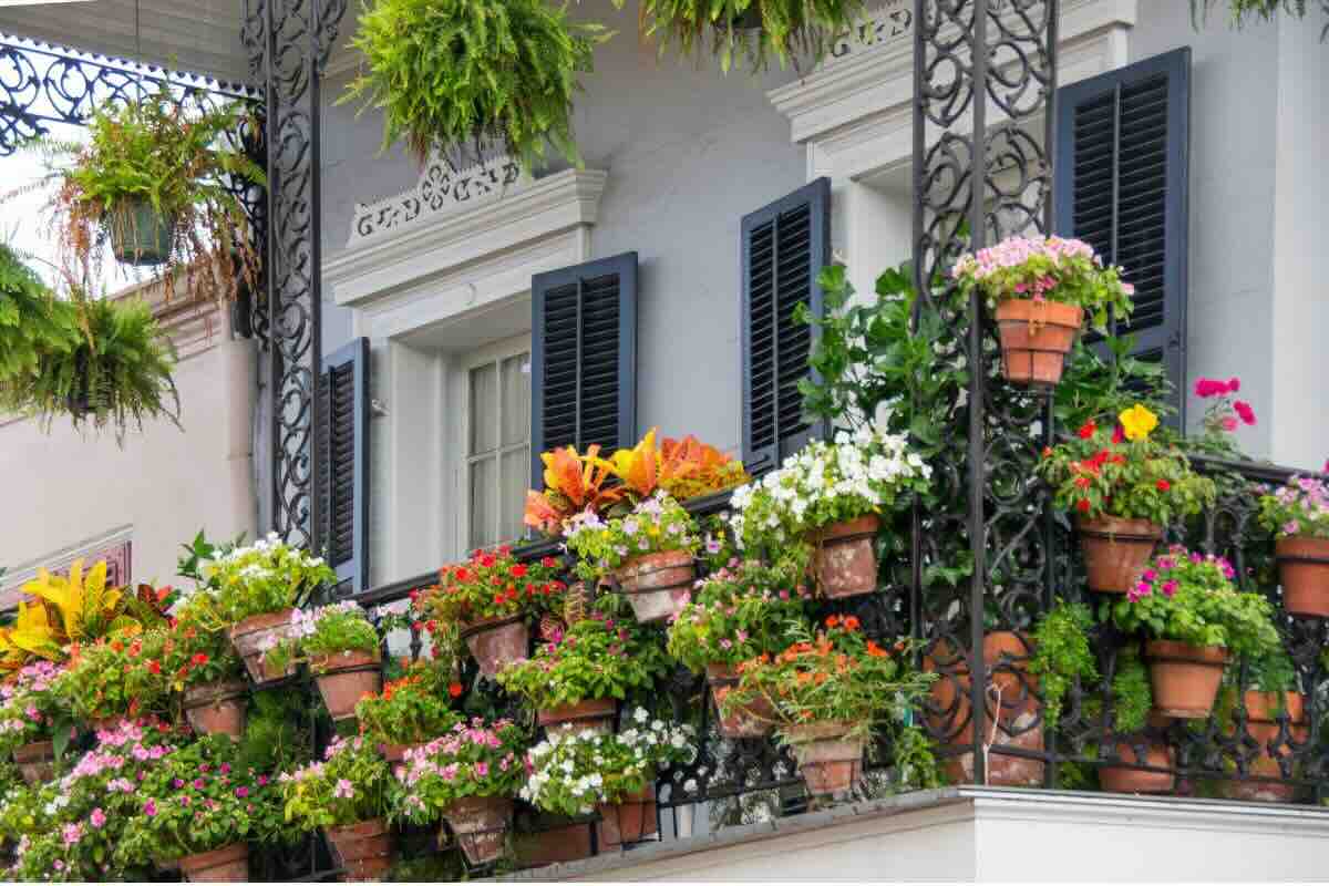 Balcone con piante e fiori